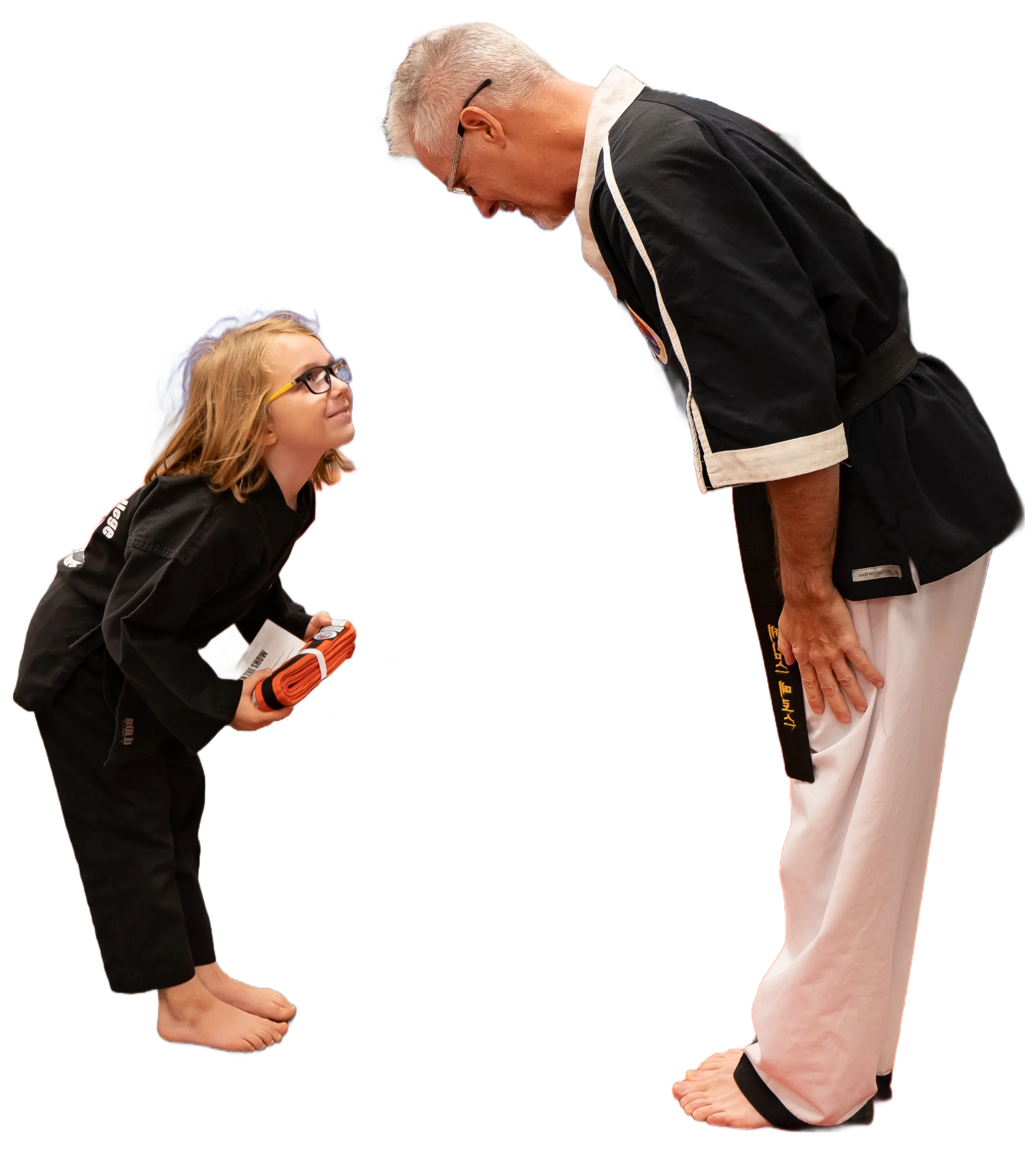 What is Level 10 Martial Arts College in Palm Harbor and How Does It Work