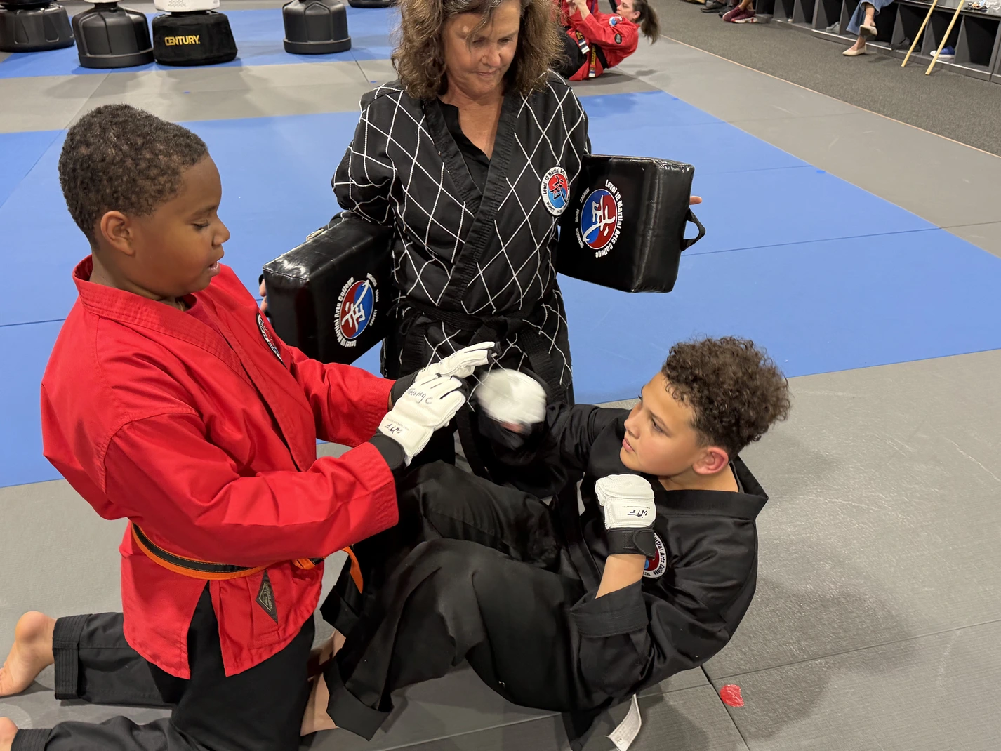 What to Look for in Karate Classes in Palm Harbor