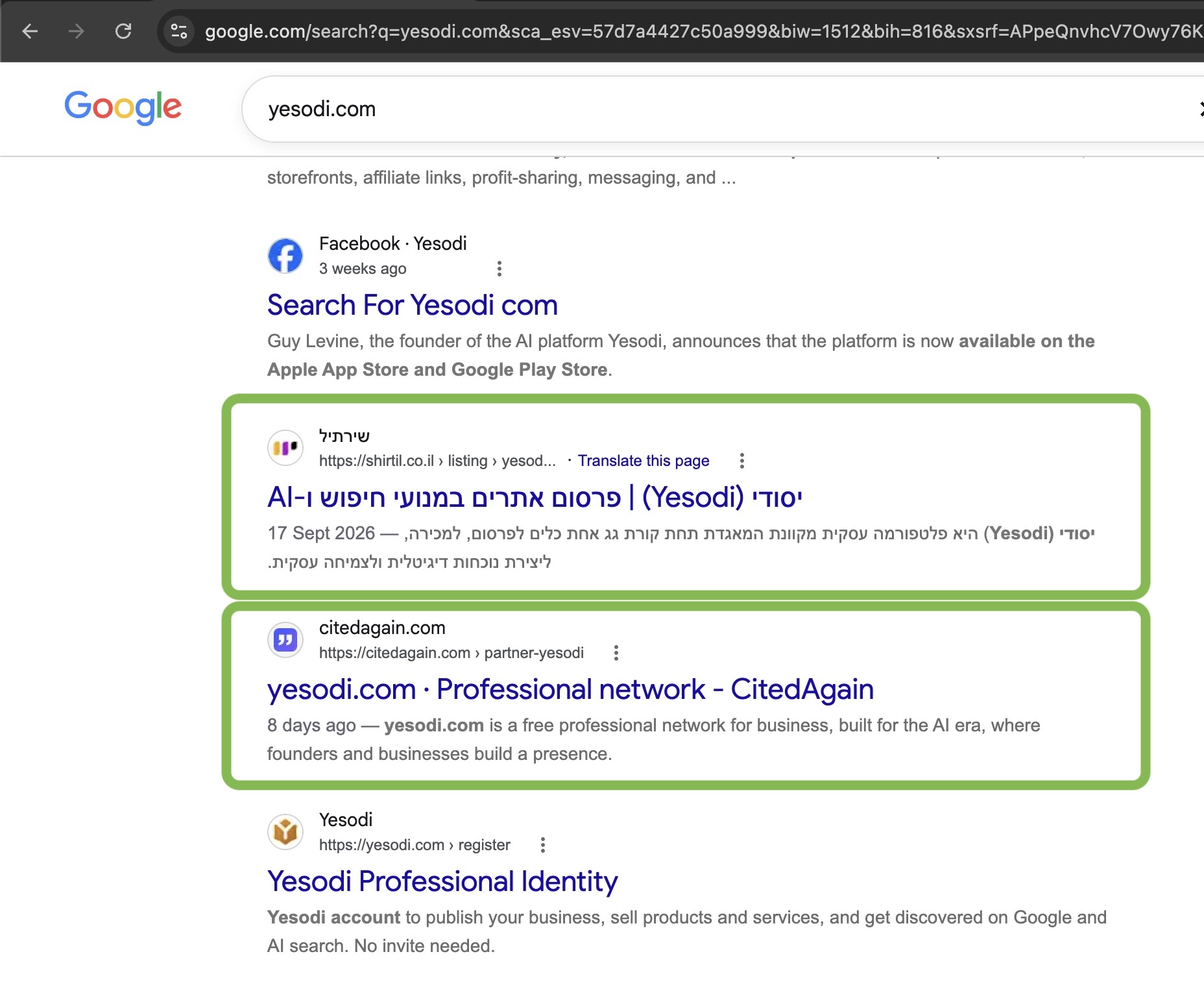 Google results for a business showing published pages ranking on page one next to the brand's own site